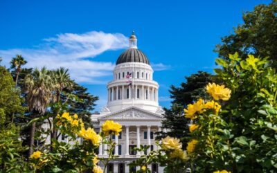 Black Caucus Members Appointed to Leadership Roles in Calif. Legislature